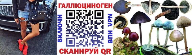 Псилоцибиновые грибы MAGIC MUSHROOMS  Задонск 
