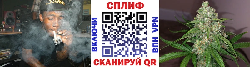 Бошки марихуана конопля Задонск